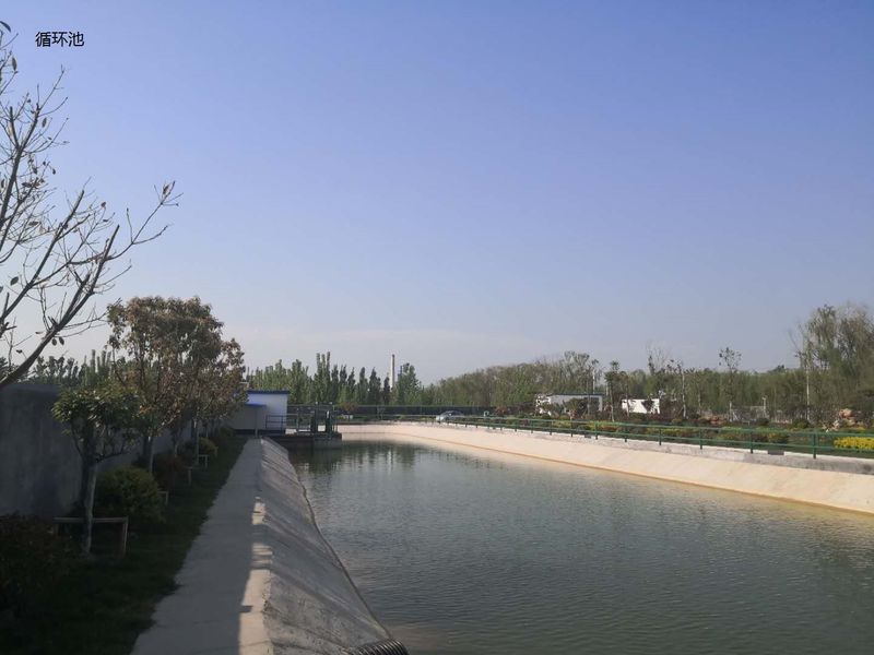الصين Shandong Xingshun New Material Co., Ltd. ملف الشركة 